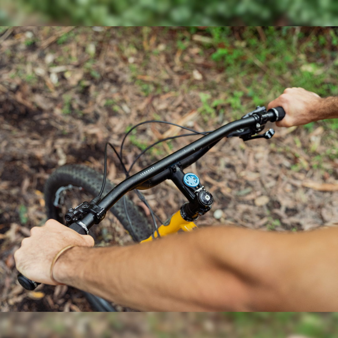 Top Shelf Flat Handlebar